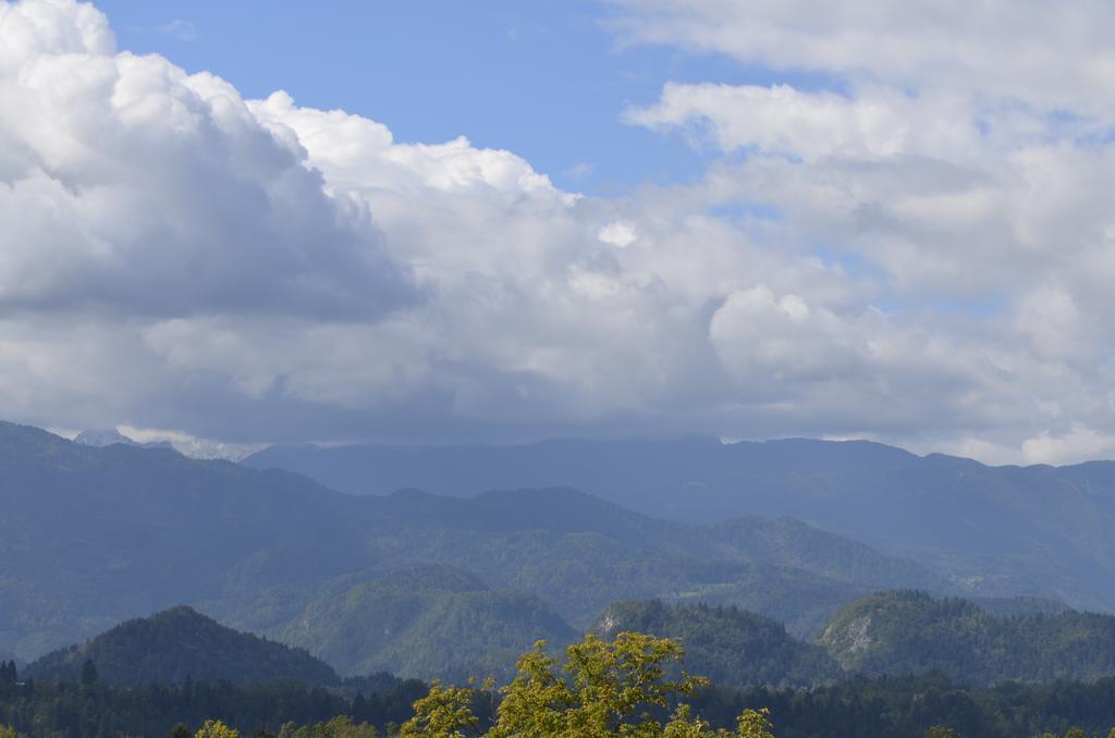 Grajski Dvor Radovljica Dış mekan fotoğraf
